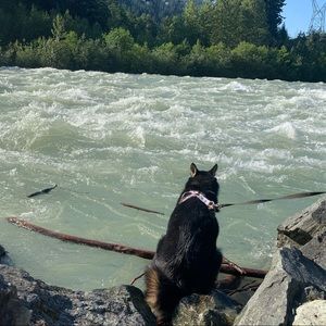 Meet your Posher, Shaista